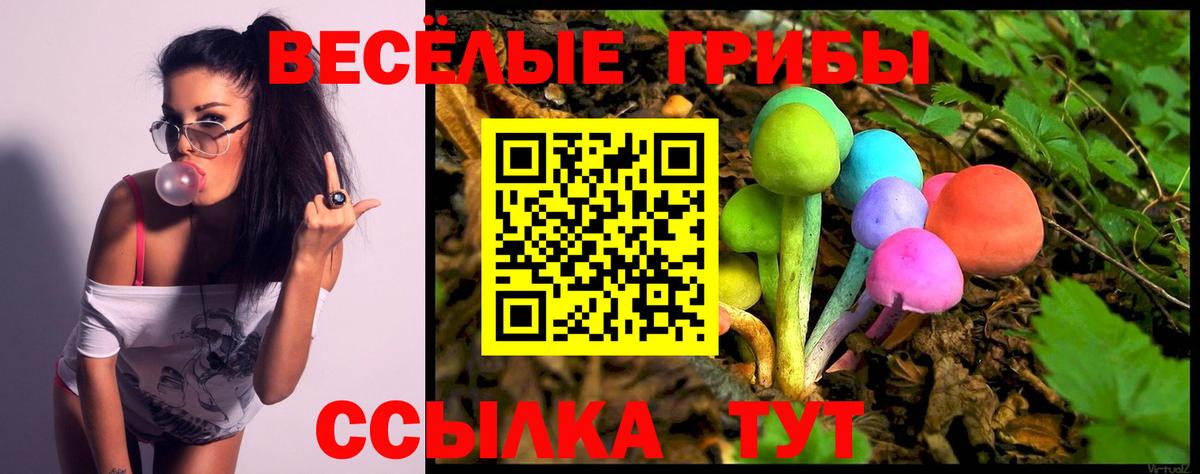 Галлюциногенные грибы Psilocybine cubensis  Псилоцибиновые грибы Psilocybine cubensis  дарнет шоп  Вход с VPN  Кузнецк 